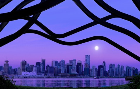 小孩打完麻风针发烧