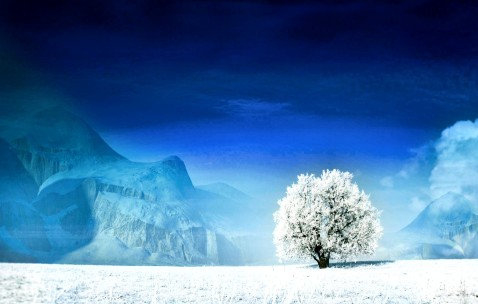 昆明正规供卵医院地址详细名单公布，6家试管中心任你选！