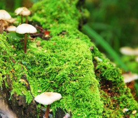 昆明7家供(借)卵试管婴儿医院最新排名，附2024供卵试管生男孩前十医院名单！