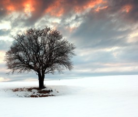 小孩发烧喊手麻
