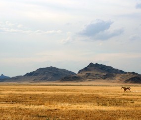 带状疱疹会传染小孩发烧吗