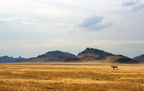 内膜异位试管成功率