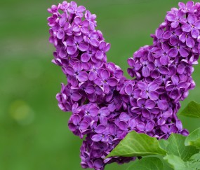 福州正规的供卵助孕生殖中心，高龄备孕家庭真等不起！