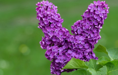 福州正规的供卵助孕生殖中心，高龄备孕家庭真等不起！