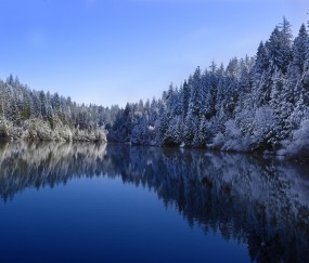 小孩吹风扇着凉发烧