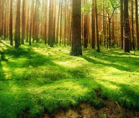 小孩发烧爱睡觉是不是脑膜炎