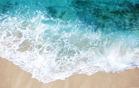 42岁试管婴儿成功率