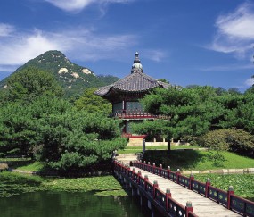 昆明做供卵试管医院强八排名最新动向，附供卵移植成功率统计表！的简单介绍