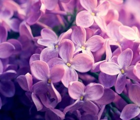 小孩发烧可以爬山出汗么