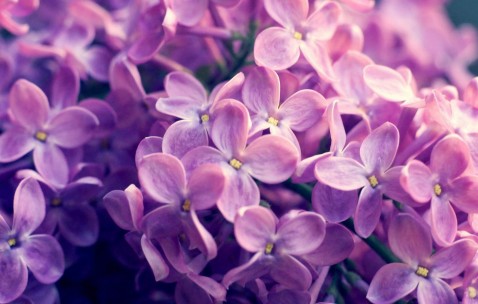 小孩发烧可以爬山出汗么