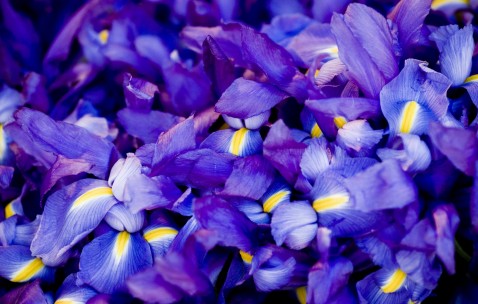 昆明供卵试管需要多少钱，2024供卵不排队机构名单！