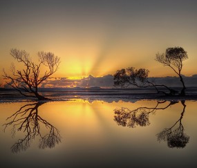 昆明试管私立医院有供卵的吗，附2024供卵所需费用表！