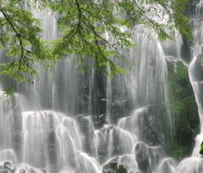 试管什么季节成功率高