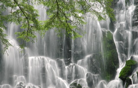 试管什么季节成功率高