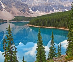 小孩急性肠炎发有发烧症状吗