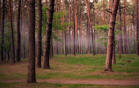 福州借卵生子机构医院，附2024试管供卵医院挑选指南！