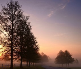 福州出名的供卵试管医院名单，三代供卵需要花费明细！