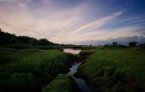 小孩发烧适合吃肉吗