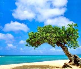 为什么小孩发烧不出汗怎么回事