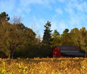 福州借卵生子机构医院，附2024借卵排队时间公告！