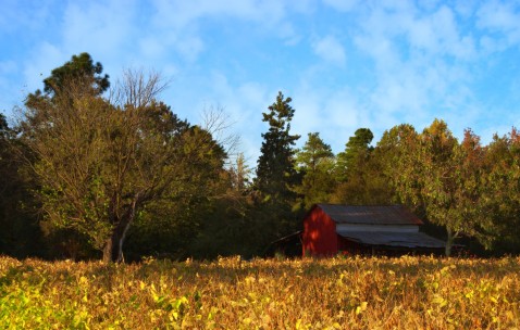 福州借卵生子机构医院，附2024借卵排队时间公告！
