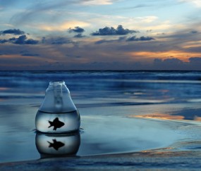 小孩恶心会发烧