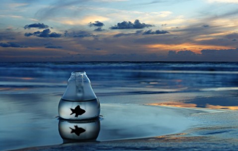 小孩恶心会发烧