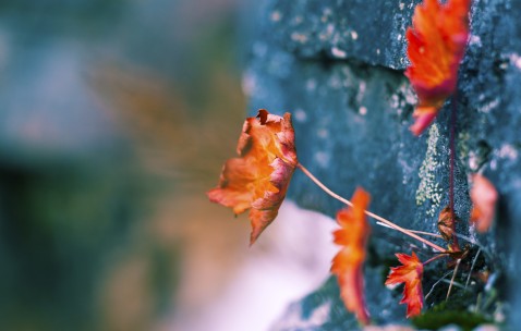 新生儿热疹怎么治疗
