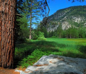 小孩发烧脸上长痣是怎么回事