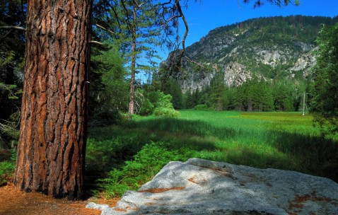 小孩发烧脸上长痣是怎么回事