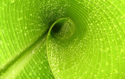 昆明能进行供卵试管的医院汇总，哪家第三方试管机构靠谱！