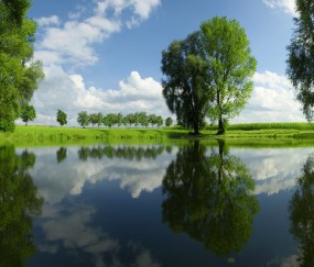 小孩发烧发烧反反复复