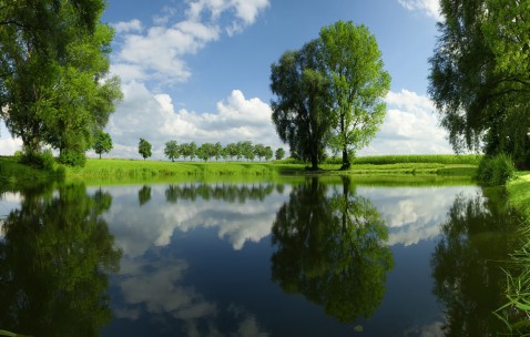 小孩发烧发烧反反复复