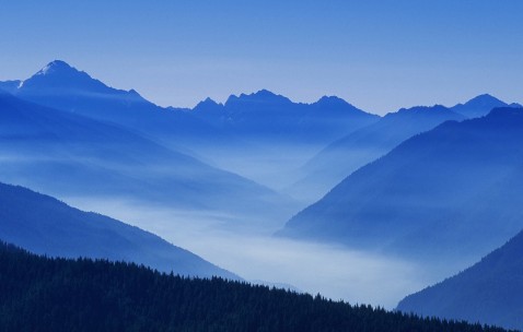 小孩打完青霉素晚上发烧是过敏吗