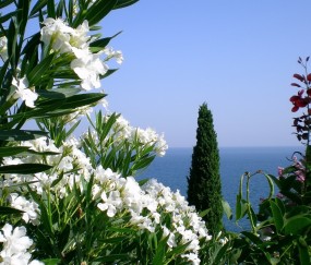 昆明热门试管医院名单推荐，以下几家试管机构不用排队！