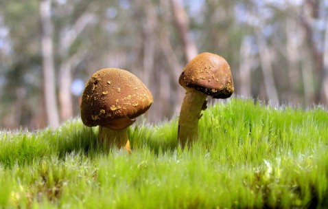 昆明供卵试管需要多少钱，2024合法供卵生殖中心前三榜单！