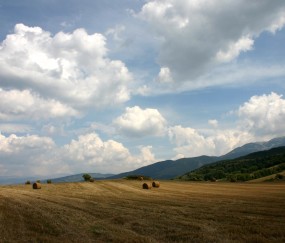 福州可做三代试管供卵的5家医院生殖中心，促排取卵单周期3万起！的简单介绍