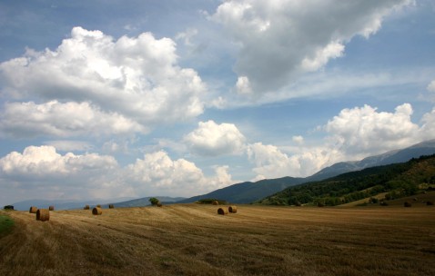 福州可做三代试管供卵的5家医院生殖中心，促排取卵单周期3万起！的简单介绍