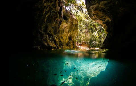 小孩发烧嗜睡没精神