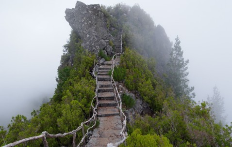 小孩反复扁桃体化脓发烧怎么办