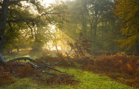 昆明试管私立医院有供卵的吗，如何选择可靠的供卵机构！