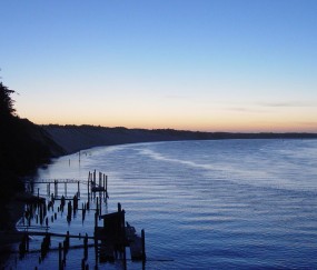 小孩的手足口没有发烧正常吗