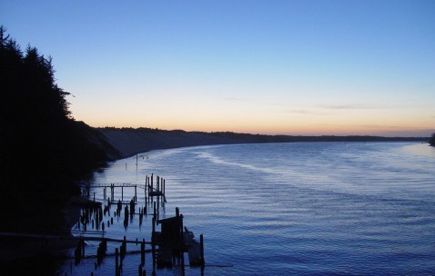 皮疹小孩会发烧吗