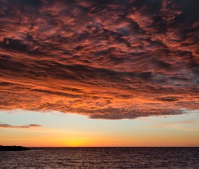 小孩发烧后好了可以打疫苗吗